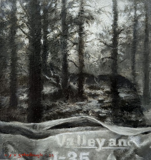 Jaco van Schalkwyk, Valley and I - 35
oil on paper