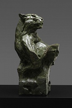 s481 leopard lying on boulder bust b