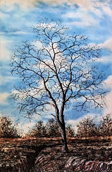 jan tshikhuthula lutendo i 2018 charcoal and pastel on paper 150 x 100cm gkac