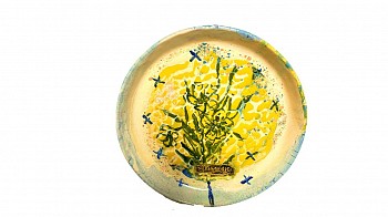 theo kleynhans oleander gkac