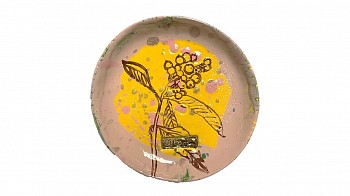 theo kleynhans pokeweed gkac