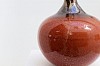 rose thorn detail 2