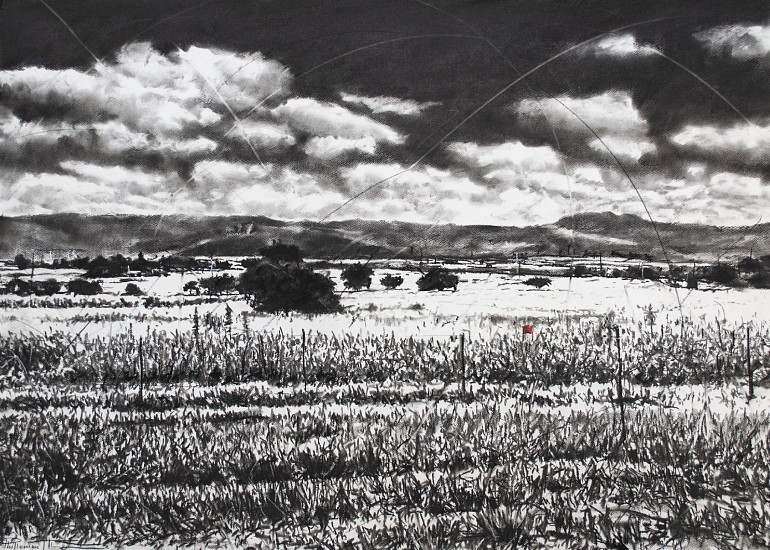 Phillemon Hlungwani, Tiko raka hina lero saseka I ( Our Beautiful Land I )
charcoal & soft pastel on cotton paper