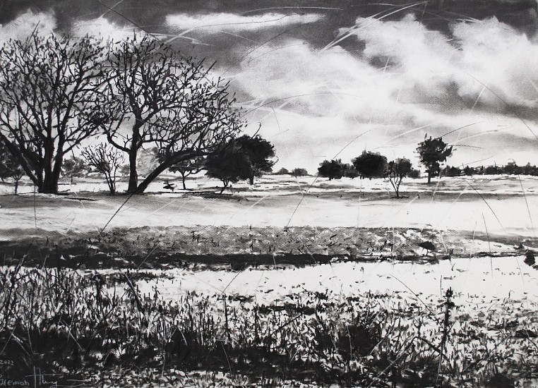 Phillemon Hlungwani, Tiko raka hina lero saseka V ( Our Beautiful Land V )
charcoal & soft pastel on cotton paper