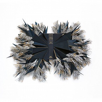 barbara wildenboer classical dictionary