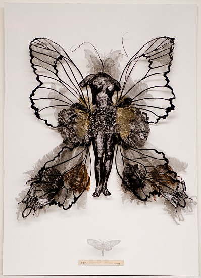 Judy Woodborne, L' oeil - Butterfly
mixed media