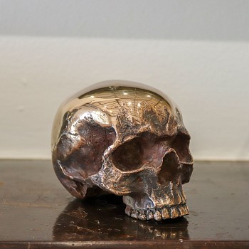 cobus haupt skull 3 shiney bronze edition of