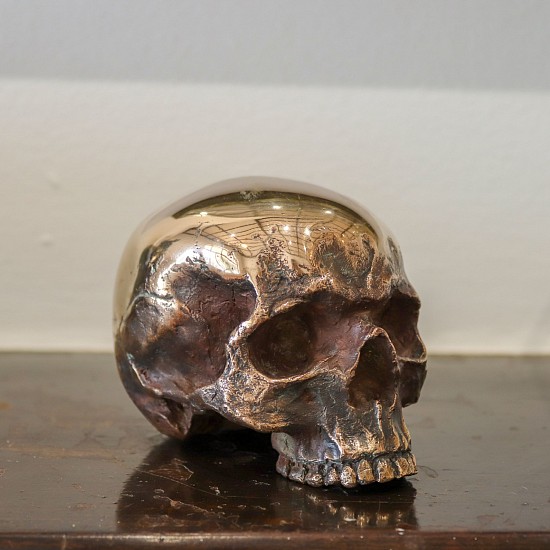 Cobus Haupt, Skull 3, Shiney
bronze