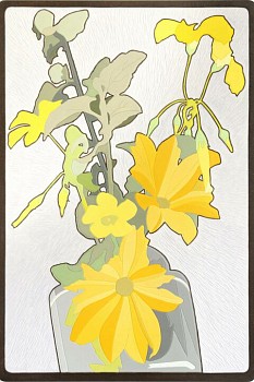 guy thesen gazania 480x720 gkac