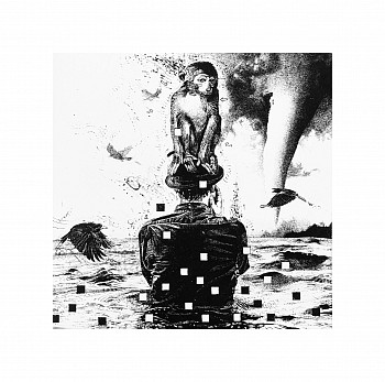 christiaan diedericks aftermath i performing monkeys and other master narratives redux gkac