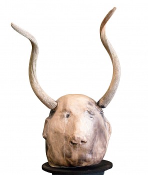 wilma cruise becoming animal bovine gkac