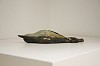 robbie leggat southern boubou shrike skin the eternal sleep gkac 15503 side
