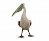 brendan leggat great white pelican gkac