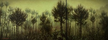 where have all the birds gone