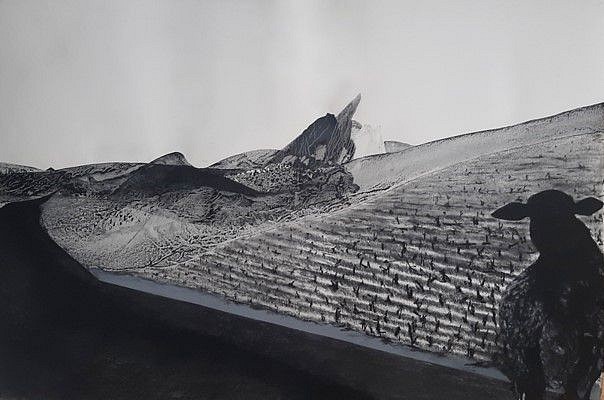 Setlamorago Mashilo, Lingering Resonance
ink & charcoal on fabriano paper
