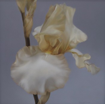 edna fourie basking iii 90 x 90 cm oil on canvas gkac