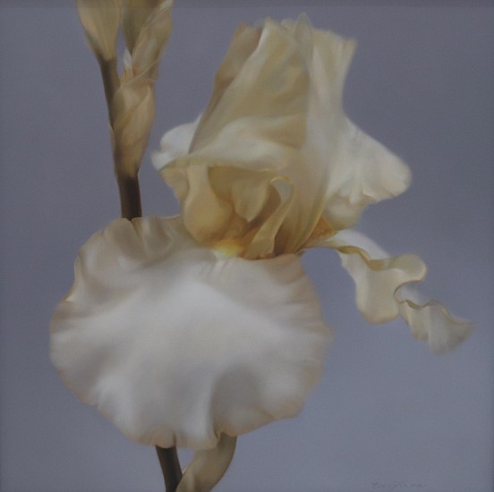 Edna Fourie, Basking III
oil on canvas