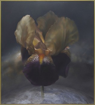 edna fourie sovereignty oil on canvas 90 x 100cm