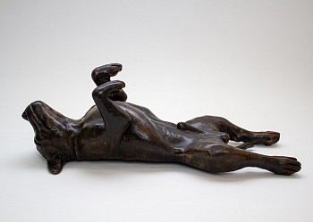 2025 05 08jennynijenhuiscody3747