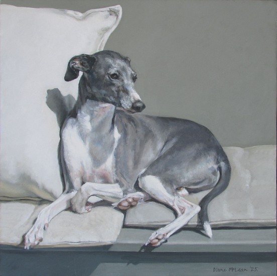Diane McLean, Lily (Italian Greyhound)
oil on canvas