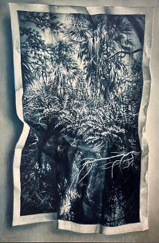 jaco van schalkwyk the fold