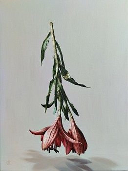 kleynscheldt suspension 80 x 60cm
