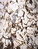 01.5 namaqua karkay 2026 hand built stoneware ceramics 66 x 45 x 25 cm