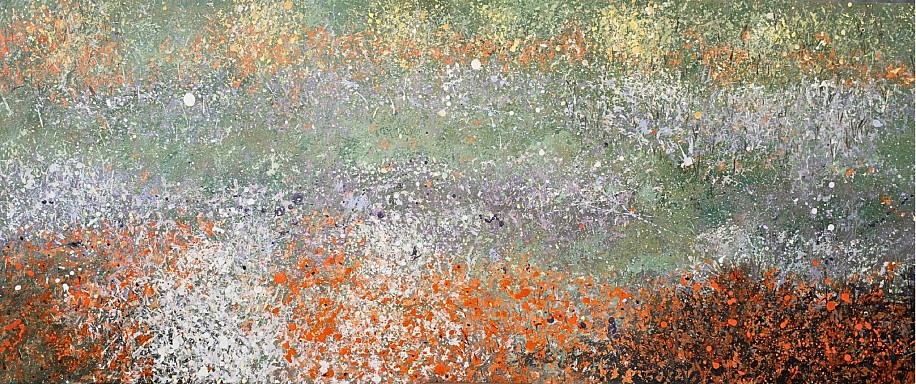 Arabella Caccia, Arctotis
oil on board