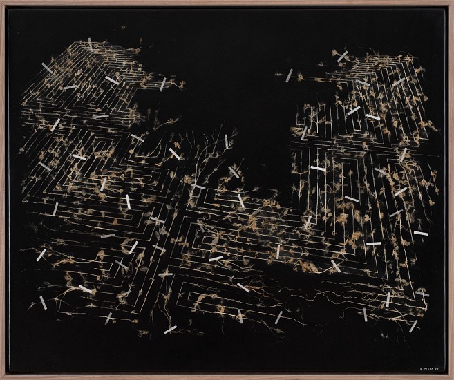 Gerhard Marx, Fading Horizon
plant material & acrylic ground on board